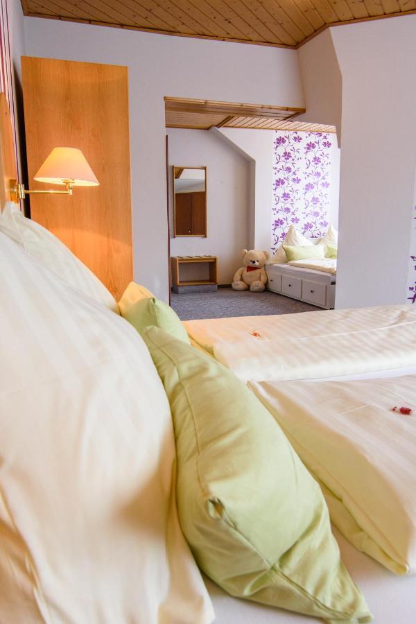Landhotel Henkenhof Willingen Willingen  Zewnętrze zdjęcie