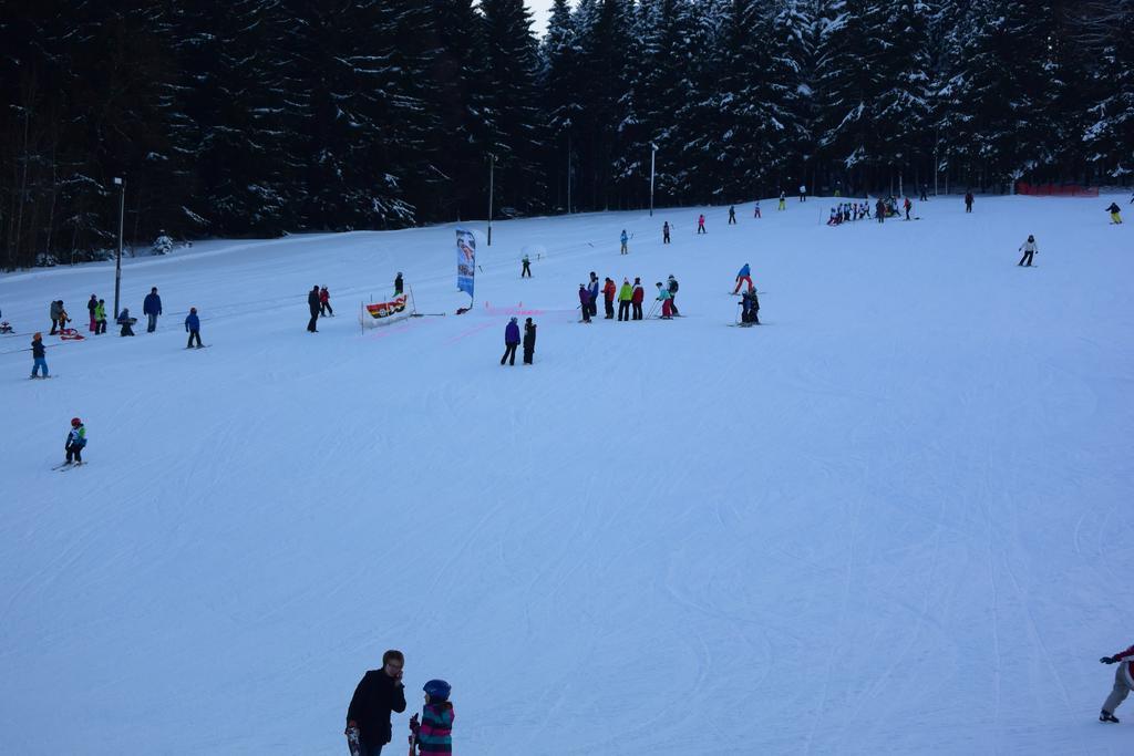 Landhotel Henkenhof Willingen Willingen  Zewnętrze zdjęcie