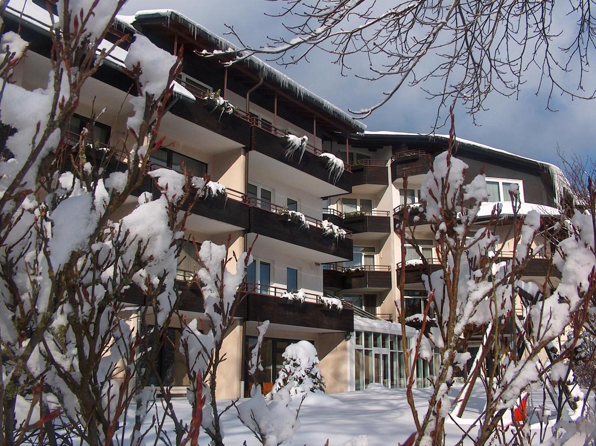 Landhotel Henkenhof Willingen Willingen  Zewnętrze zdjęcie